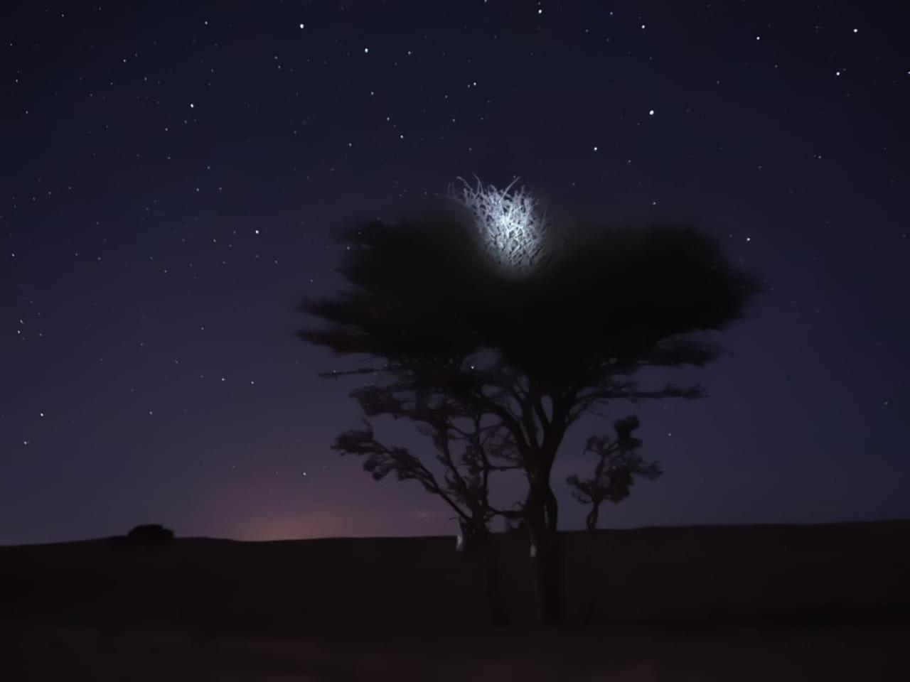 Tuareg Luxury Camp Ξενοδοχείο Merzouga Εξωτερικό φωτογραφία